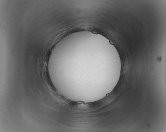 X0000110860279200906180952