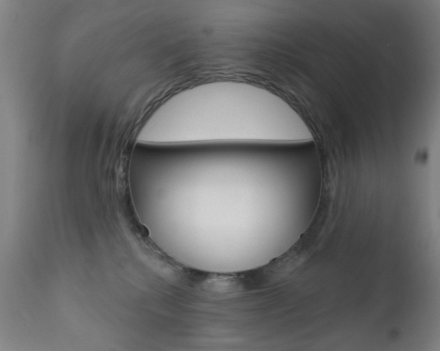 X0000110860280200906180952