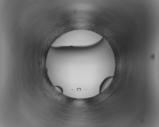 X0000110860283200906180953
