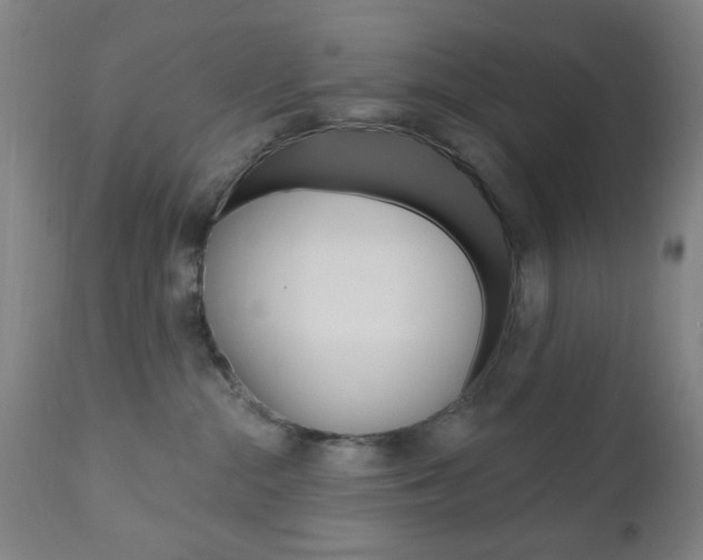 X0000110860284200906180953