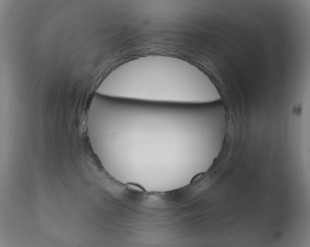 X0000110860285200906180953