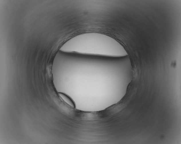 X0000110860286200906180953