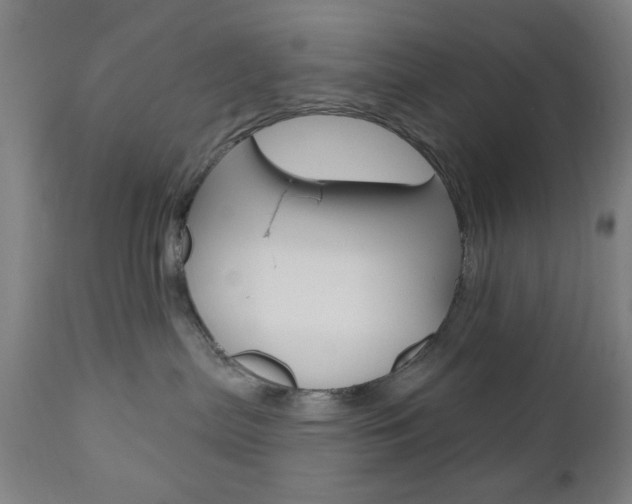 X0000110860287200906180953