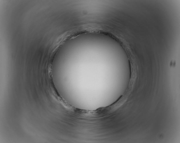 X0000110860288200906180953
