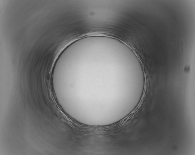 X0000110860289200906180952