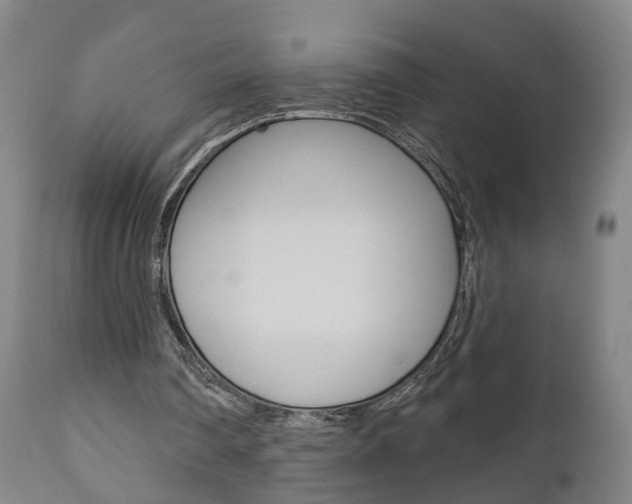 X0000110860290200906180952