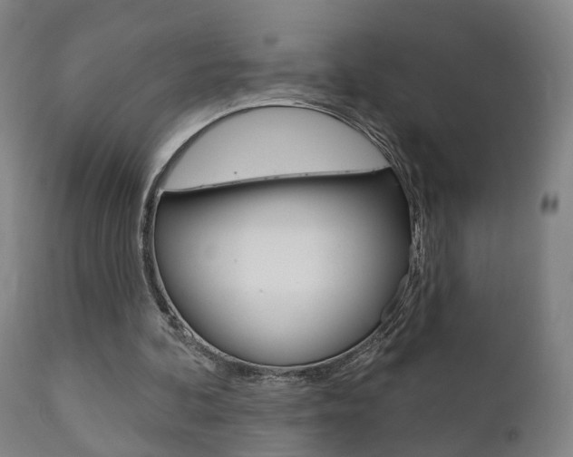 X0000110860292200906180952