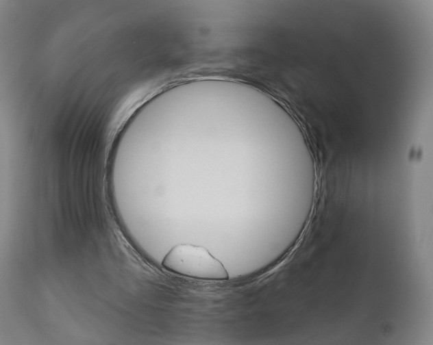 X0000110860293200906180952