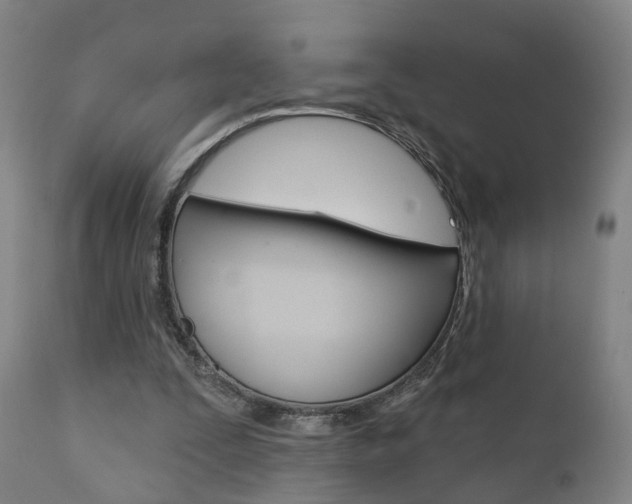 X0000110860295200906180952