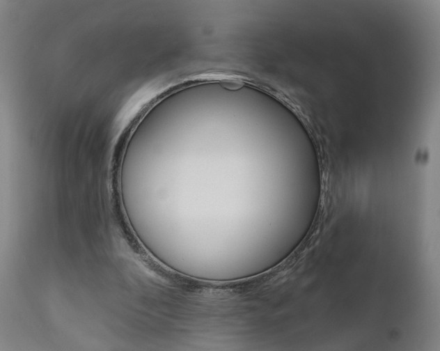 X0000110860296200906180952