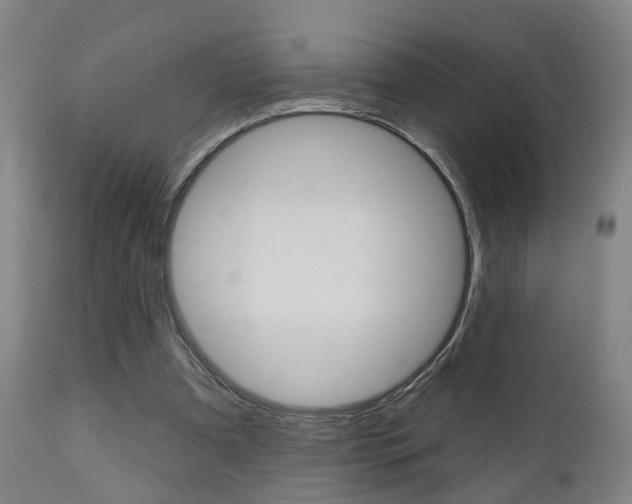 X0000110860297200906180952