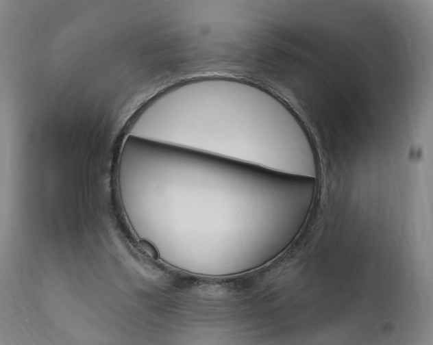 X0000110860299200906180952