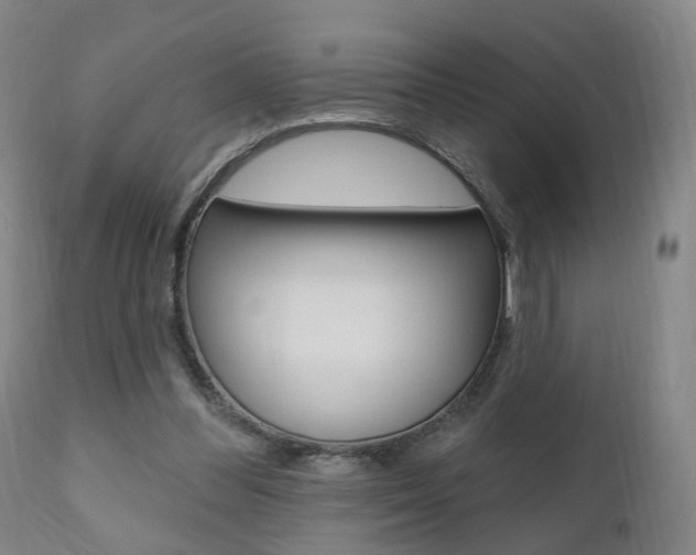 X0000110860300200906180952