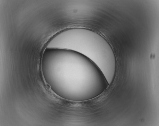 X0000110860301200906180952