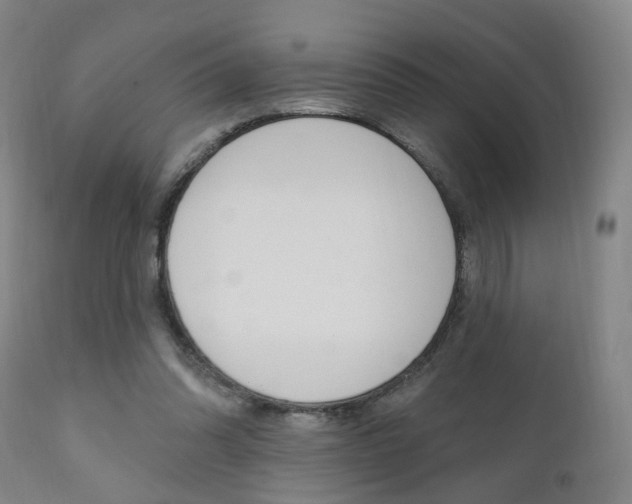X0000110860302200906180952