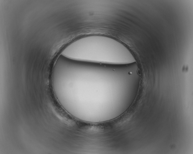 X0000110860303200906180952