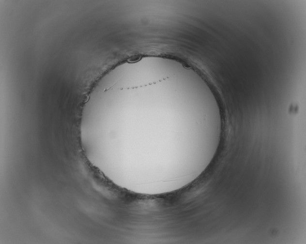 X0000110860307200906180952