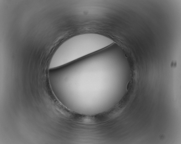 X0000110860308200906180952