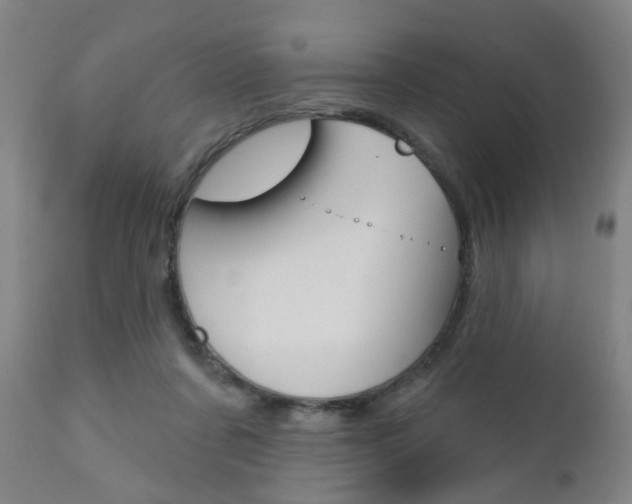 X0000110860311200906180952