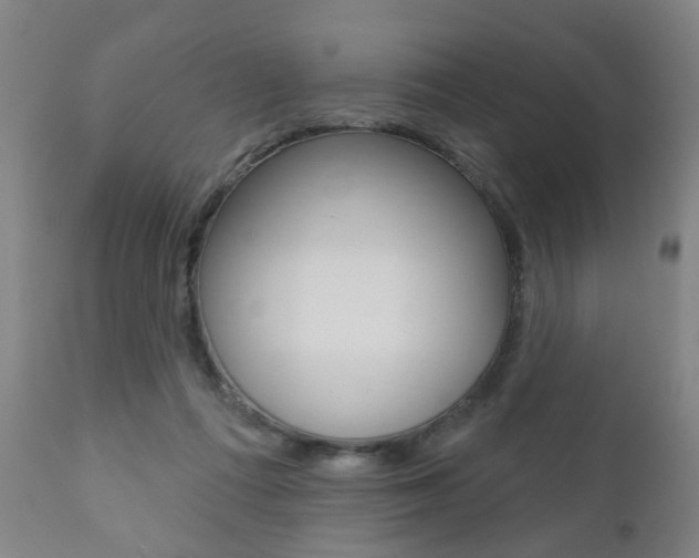 X0000110860312200906180952