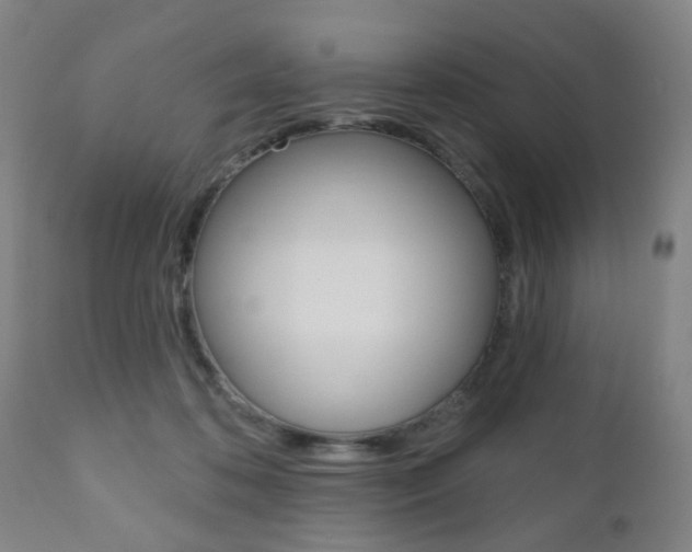 X0000110860316200906180952