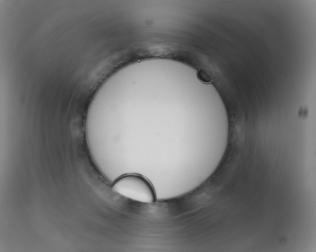 X0000110860317200906180952
