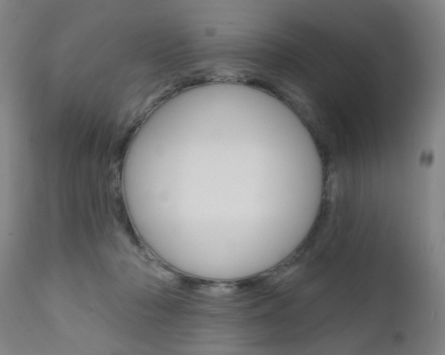 X0000110860318200906180952