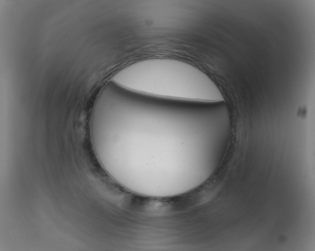X0000110860319200906180952