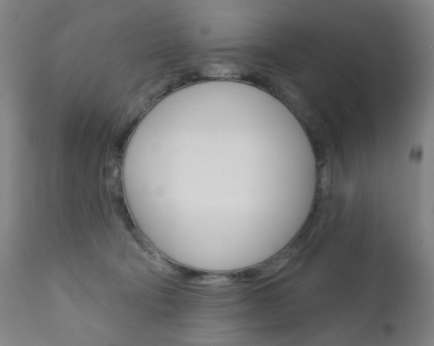 X0000110860322200906180951