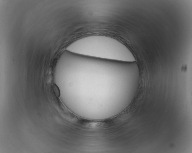 X0000110860323200906180951