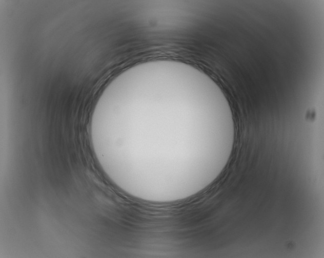 X0000110860324200906180951