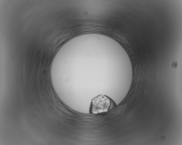 X0000110860325200906180951