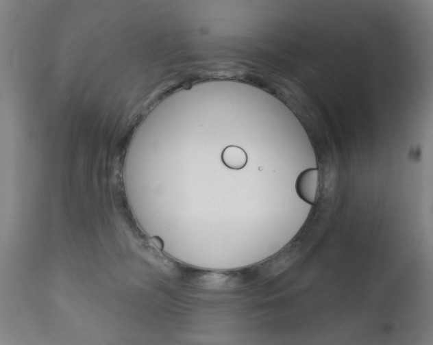 X0000110860326200906180951