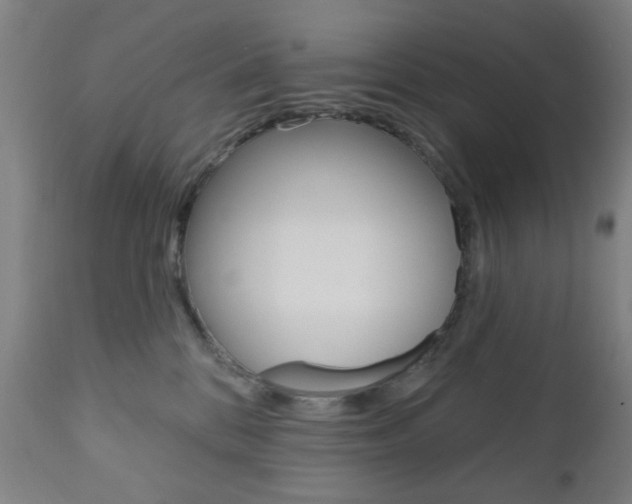 X0000110860328200906180951