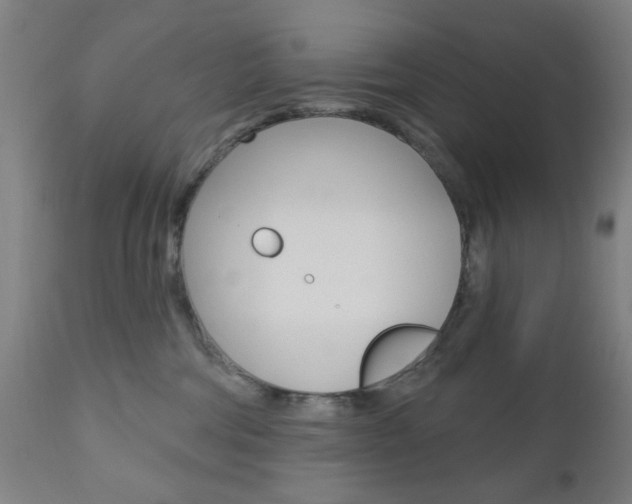X0000110860330200906180951