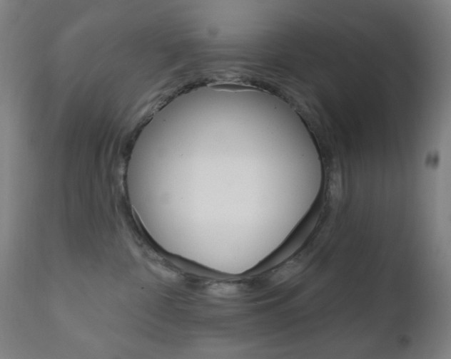 X0000110860332200906180951
