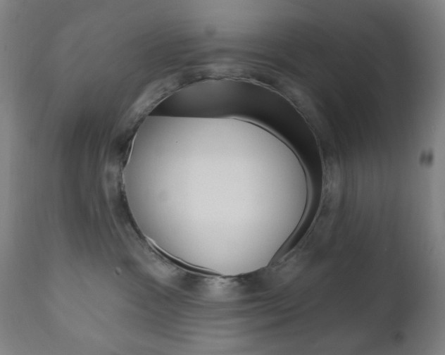 X0000110860333200906180951