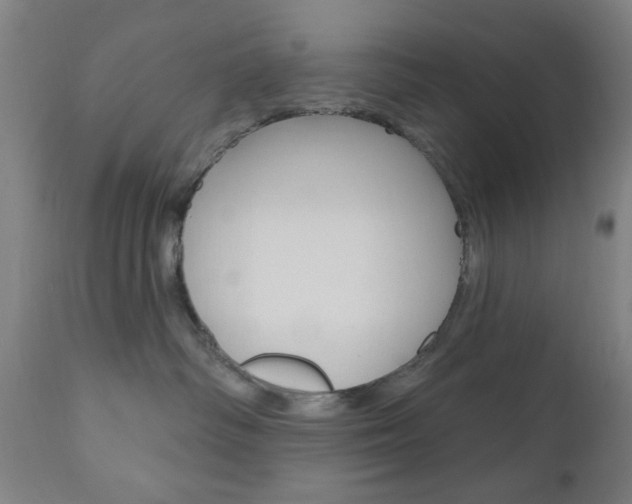 X0000110860334200906180951