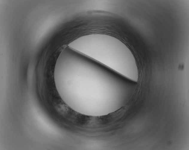 X0000110860335200906180951