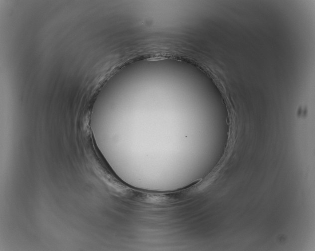 X0000110860336200906180951