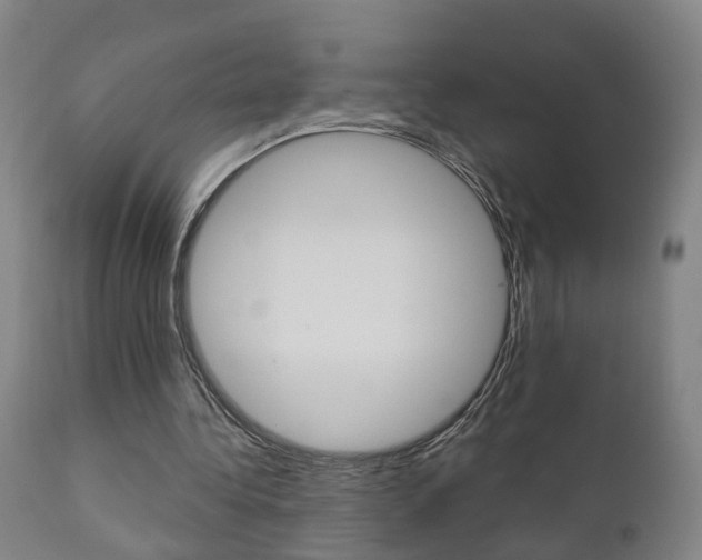 X0000110860340200906180950