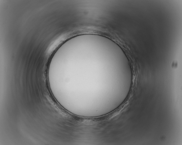 X0000110860341200906180951