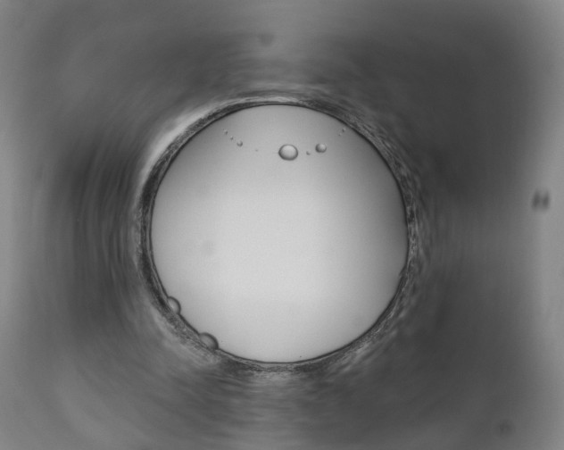 X0000110860342200906180951