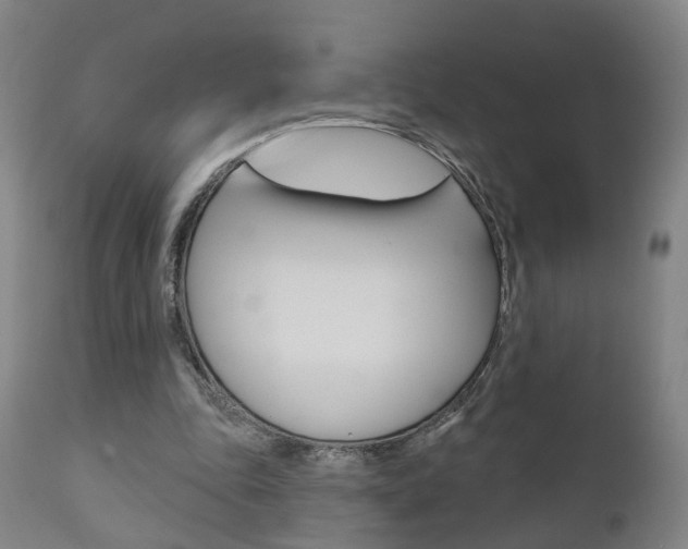 X0000110860343200906180951