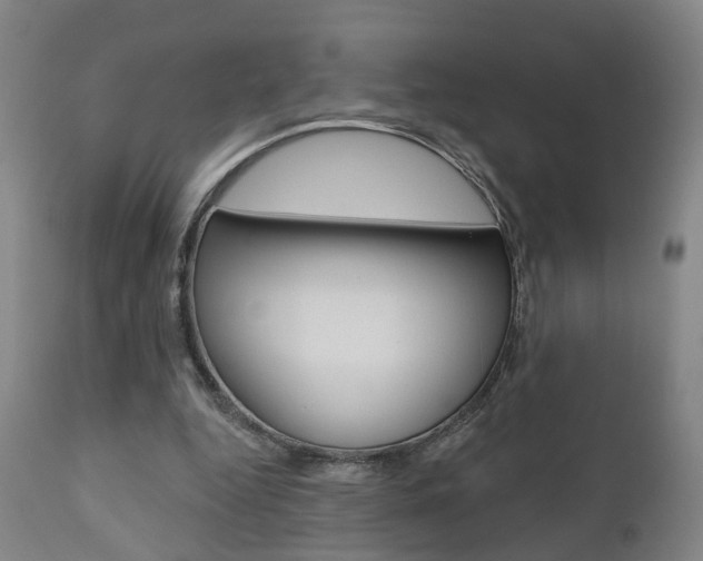 X0000110860344200906180951