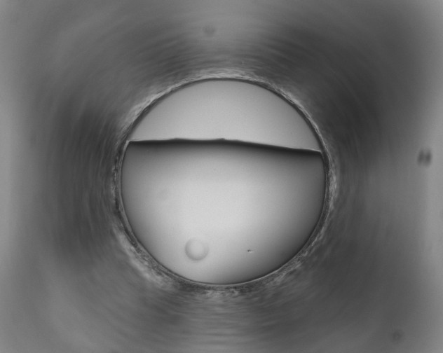 X0000110860345200906180951