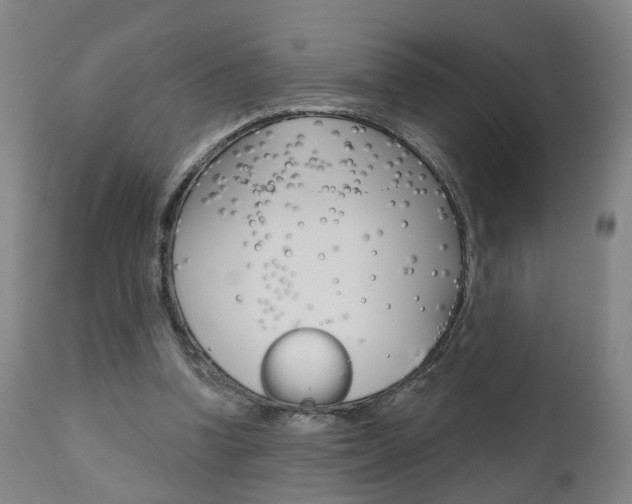 X0000110860346200906180951