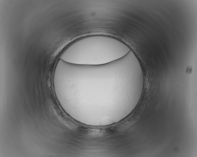 X0000110860347200906180951