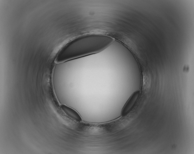 X0000110860348200906180951