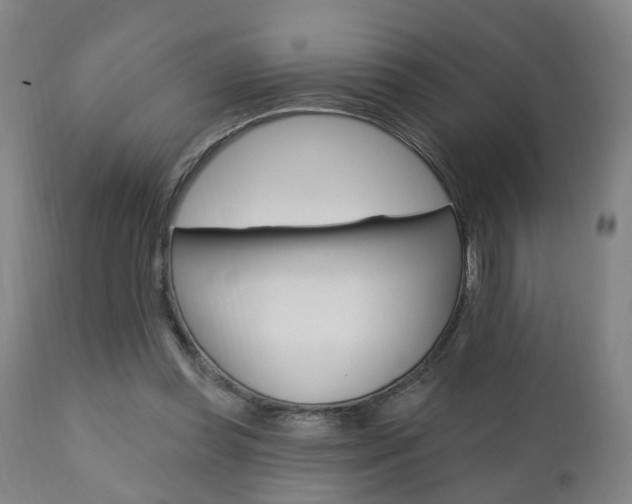 X0000110860349200906180951
